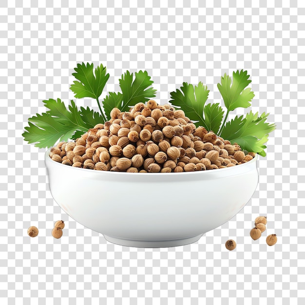 Coriander in bowl spices realistic isolated on transparent background