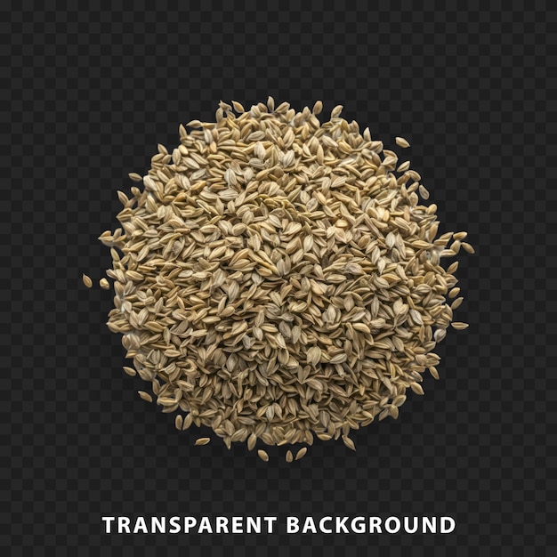 Coriander seeds isolated on transparent background showing their texture