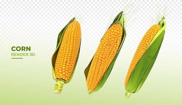 Corn 3d render realistic