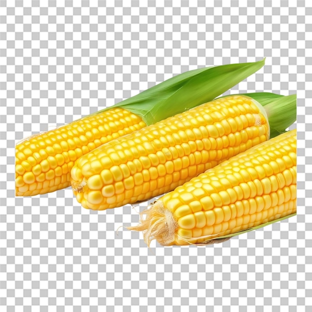 Corn isolated transparent background