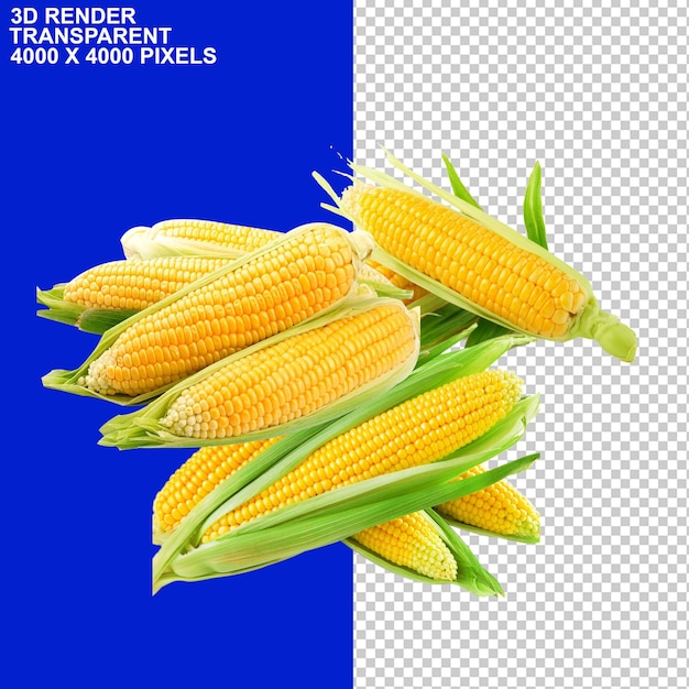 Corn Rich Food Corn seed corn nutrition Pop corn corn flour seeds Maize corn baked edible corn