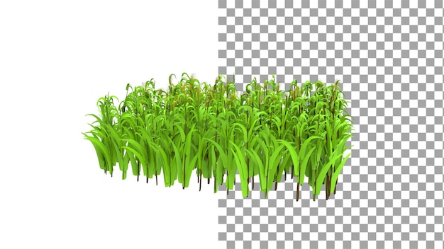 Corn tree without shadow 3d render