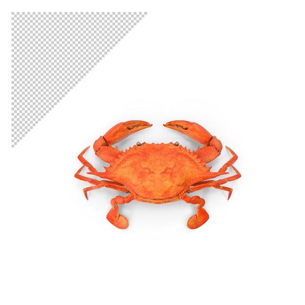 Crab Closeup PNG