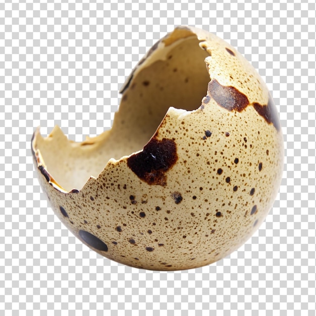 Cracked egg shell with yolk visible on transparent background