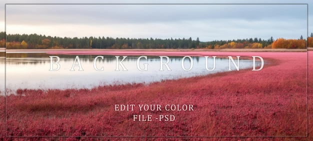 PSD cranberry bog with autumn trees and calm water