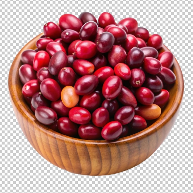 cranberry or pinto beans isolated