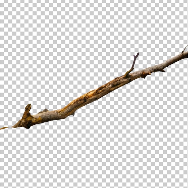 Create A High Quality a Dry tree branch on white background