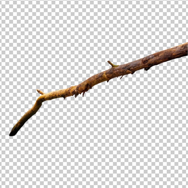 Create A High Quality a Dry tree branch on white background