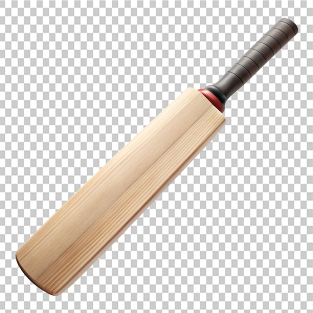 cricket bat