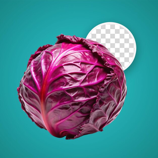 Crimson lettuce