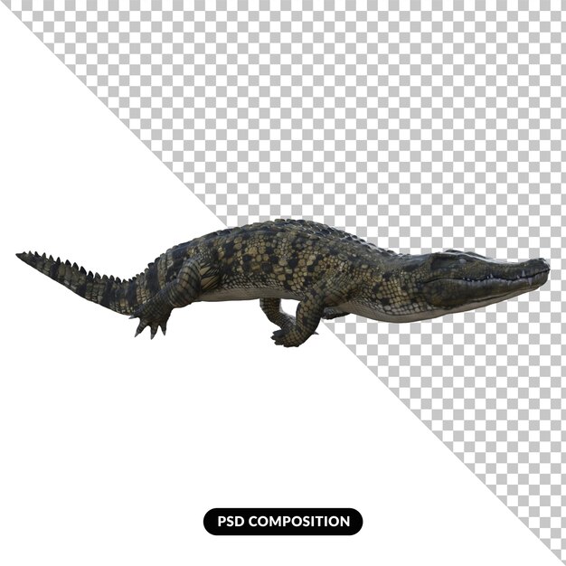 Crocodile isolated 3d render