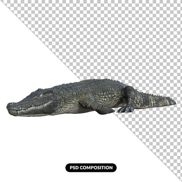 Crocodile isolated 3d render