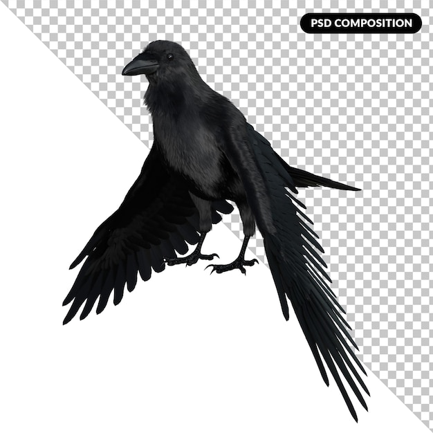 Crow isolated premium PSD