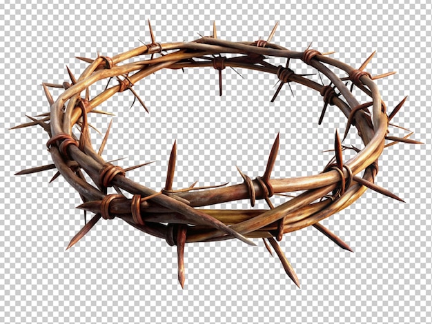 Crown of thorns