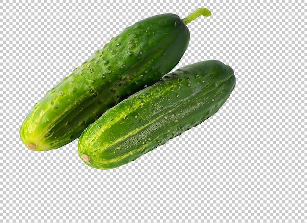 Cucumber On Alpha Layer