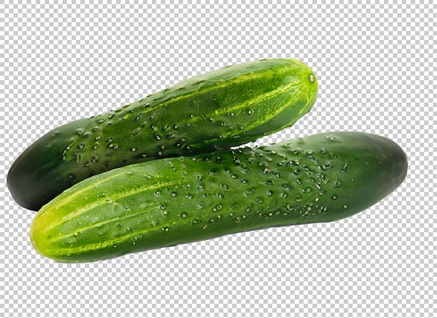 Cucumber On Alpha Layer