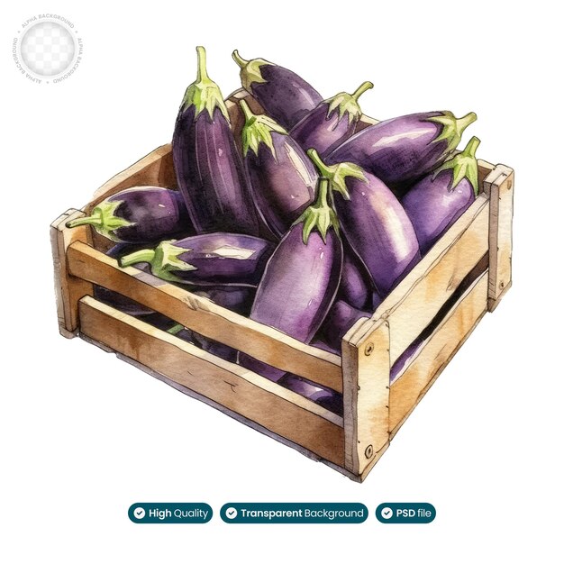 Culinary Gems Watercolor Illustration of Eggplant Collection