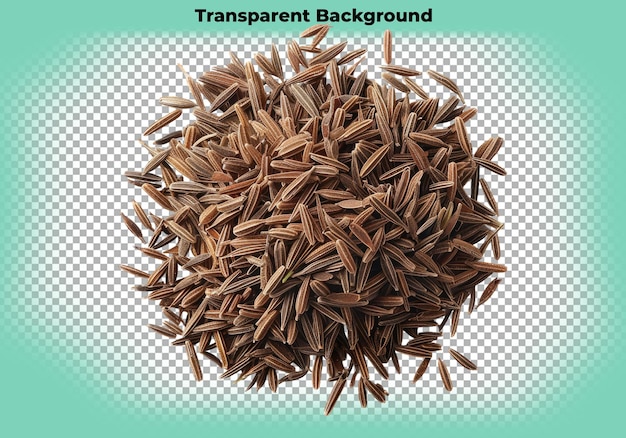 Cumin isolated on transparent background