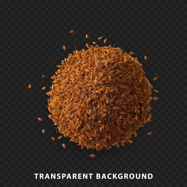 Cumin seeds isolated on transparent background perfect for culinary uses