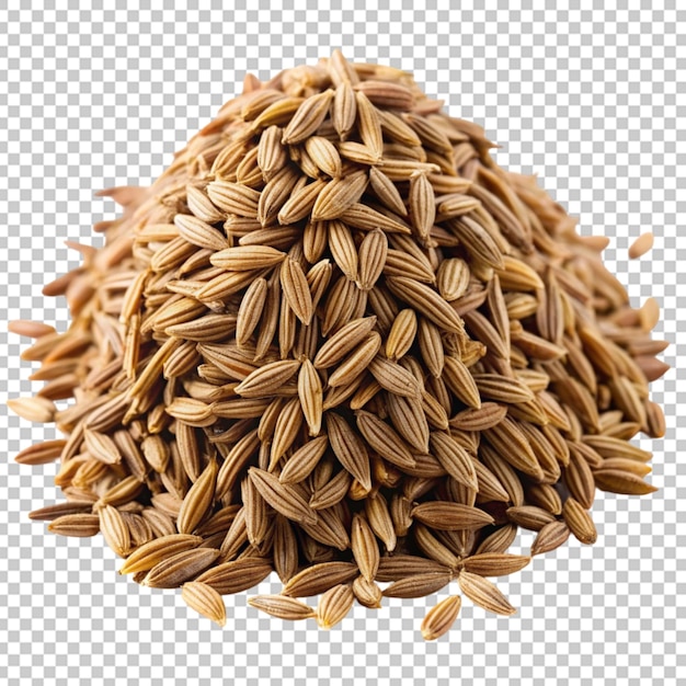 cumin seeds