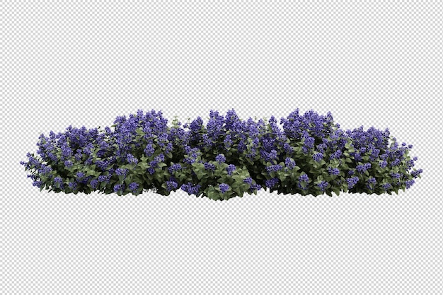 Cut out fern in 3d rendering