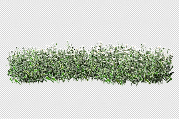 Cut out fern in 3d rendering