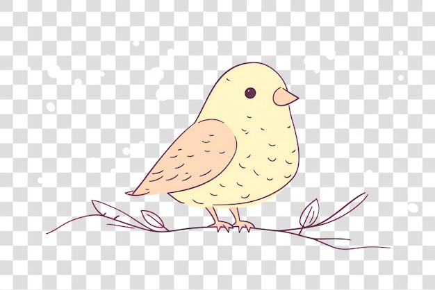 Cute bird illustration on branch