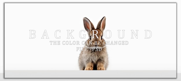 PSD cute brown bunny on a white background