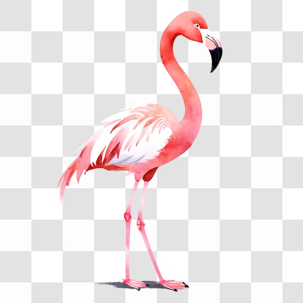 PSD cute minimalist watercolor illustration of a flamingo for a children book