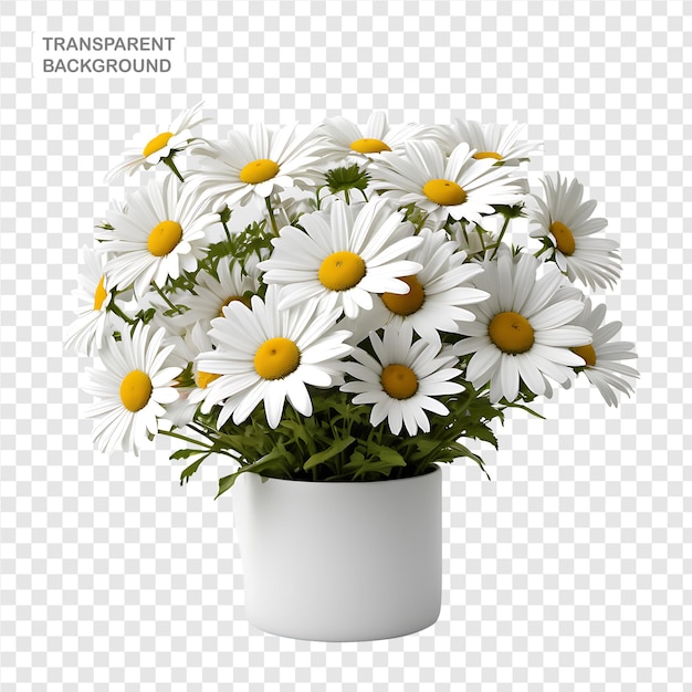 Daisy element in PNG format with transparent background