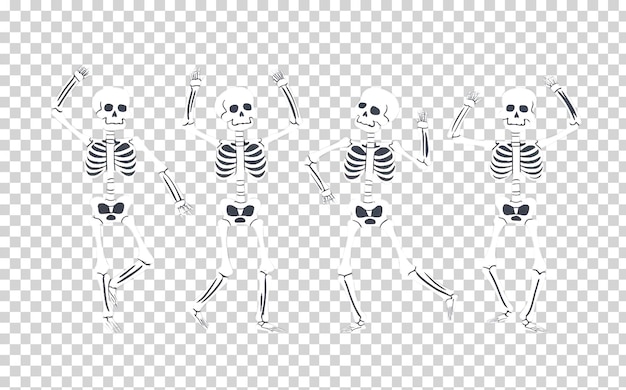 dancing skeleton monochrome skull dancing skeleton human skull on a Transparent Background