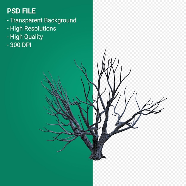 Dead Tree 3d render isolated on transparent background