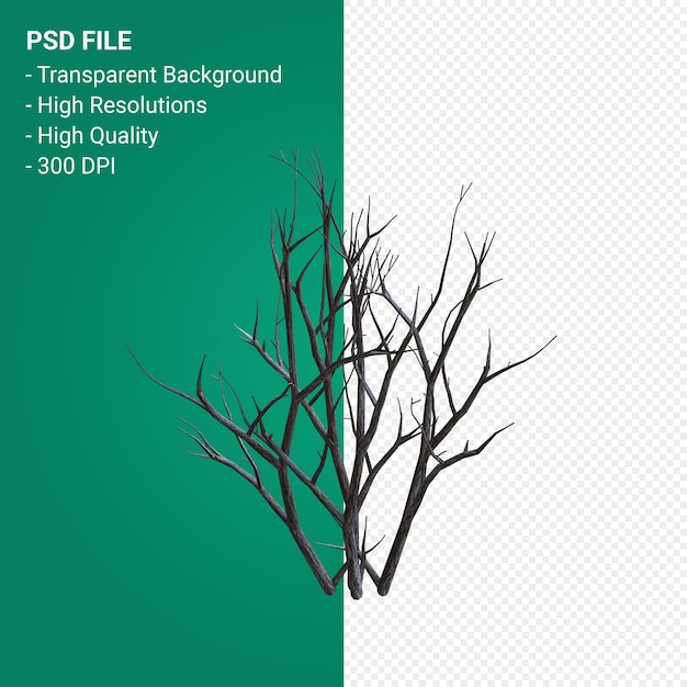 Dead Tree 3d render isolated on transparent background