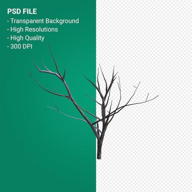 Dead Tree 3d render isolated on transparent background