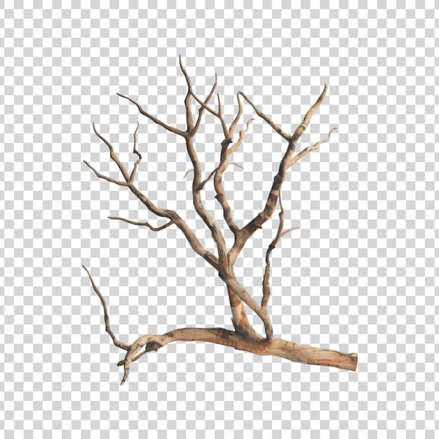 PSD a dead tree branch on a transparent background