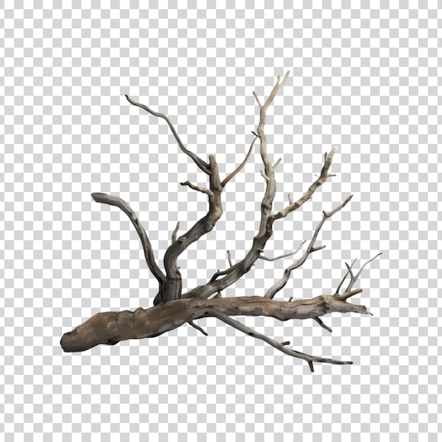 PSD a dead tree branch on a transparent background