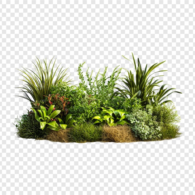 PSD decorative park and garden plants isolated on white background 3d rendering