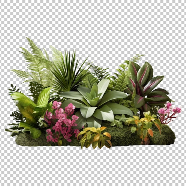 Decorative park and garden plants isolated on white background 3d rendering