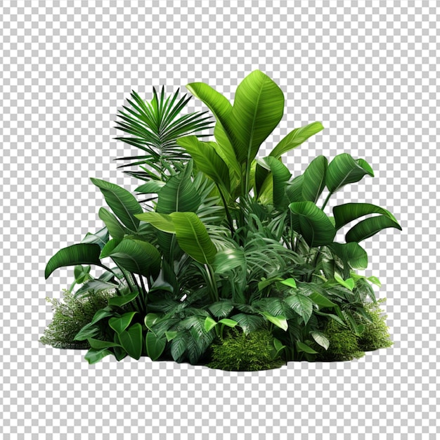 Decorative park and garden plants isolated on white background 3d rendering