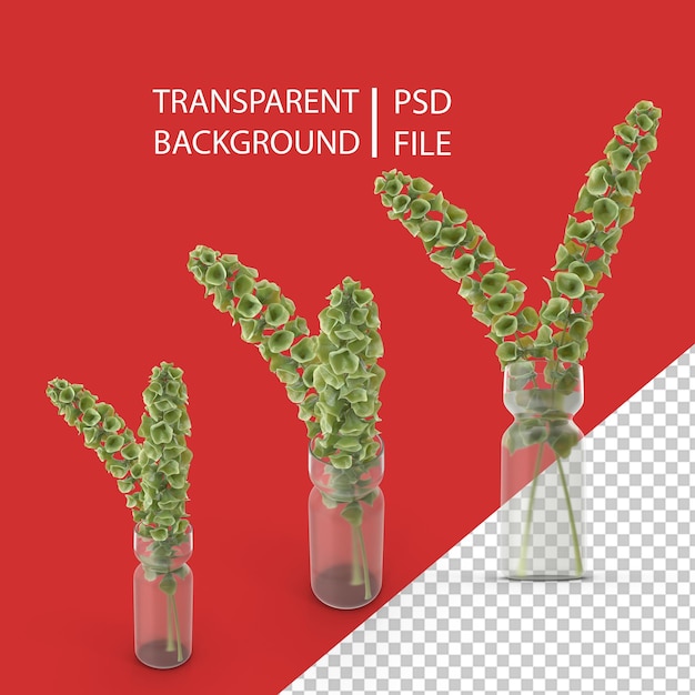 Decorative Plant PNG