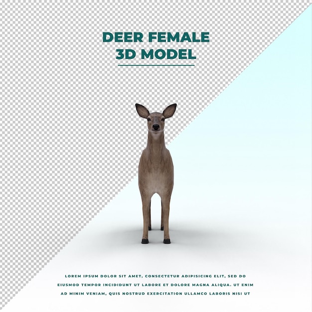 deer female