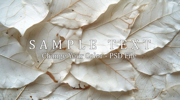 PSD delicate white leaves with intricate veining