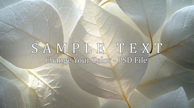 PSD delicate white leaves with intricate veins