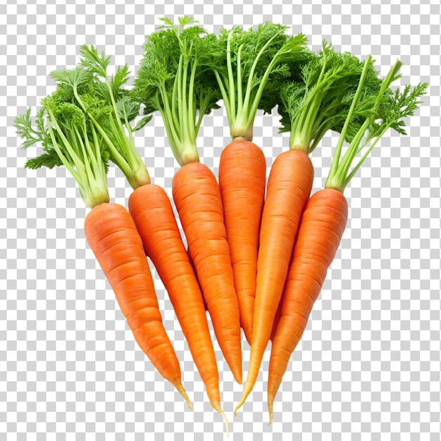 Delicious carrots cut out Isolated on transparent background