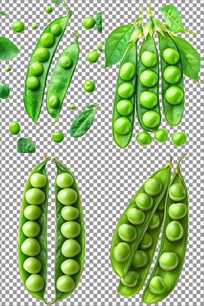 PSD delicious peas beans fresh and nutritious hyperrealistic isolated png with clear transparent backg