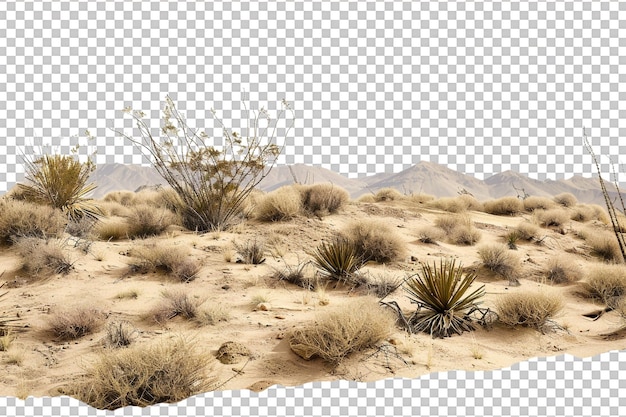 PSD desert isolated on transparent background