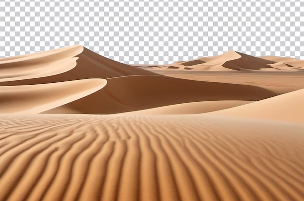 Desert landscape on a transparent background