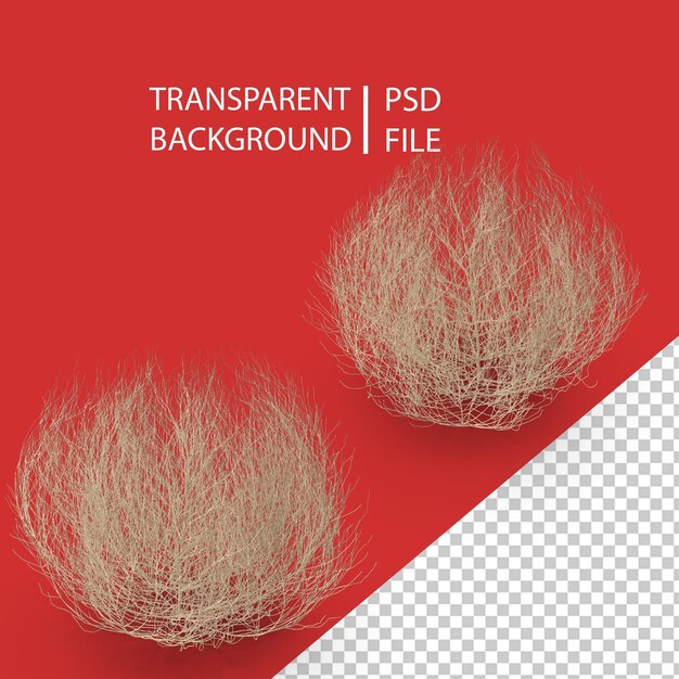 PSD desert tumbleweed png