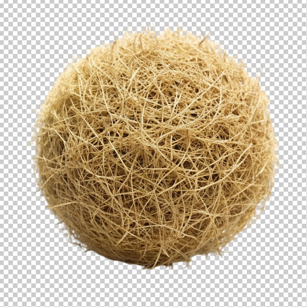 PSD desert tumbleweed on transparent background