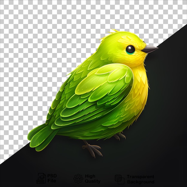 Detailed Drawing of a Green Bird on Transparent Background